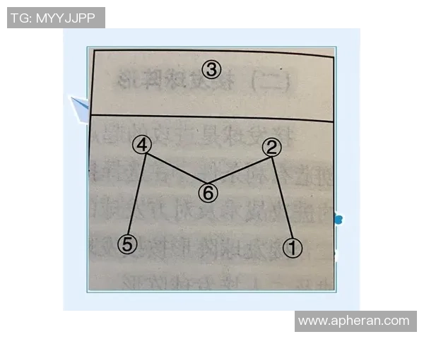 南京排球队的战术解析与控制能力深度剖析