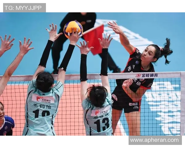 上海排球队逆袭之路揭秘精英赛中的奋斗与荣耀展现