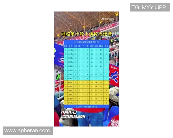 湖南足球明星盘点及其在国内外赛场的精彩表现与成就分析 湖南足球明星盘点及其在国内外赛场的精彩表现与成就分析