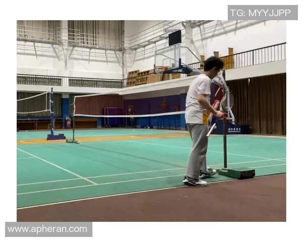 西安羽毛球队近期状态深度对比与分析探讨