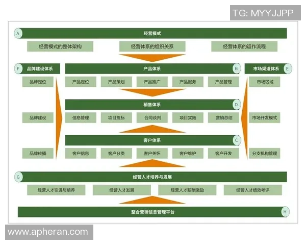 重庆足球队的运营策略与市场推广全解析 重庆足球队的运营策略与市场推广全解析